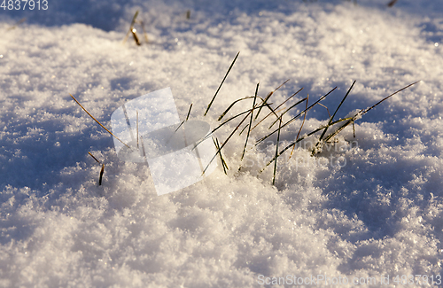 Image of After snowfall