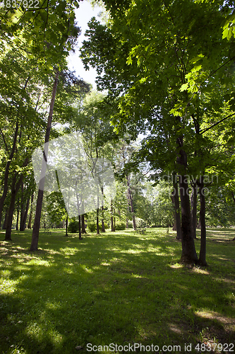 Image of in the park