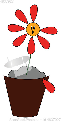 Image of Flower losing his red petals