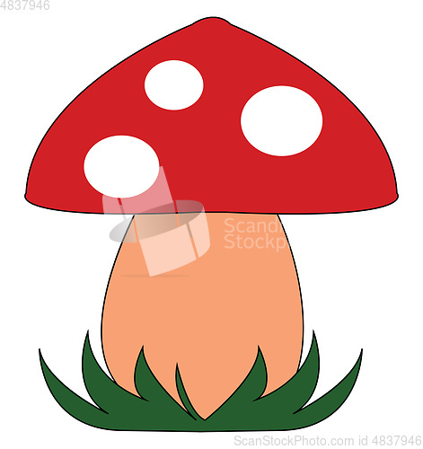 Image of A little red mushroom vector or color illustration