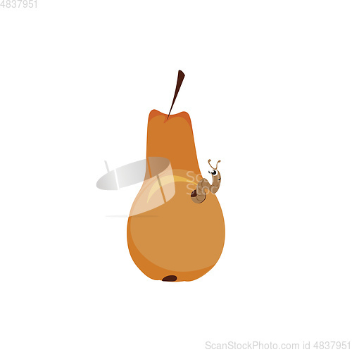 Image of Pear with a worm vector or color illustration