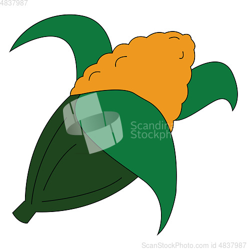 Image of Cute little cartoon corn vector or color illustration