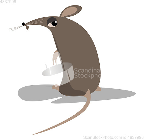 Image of A black rat vector or color illustration