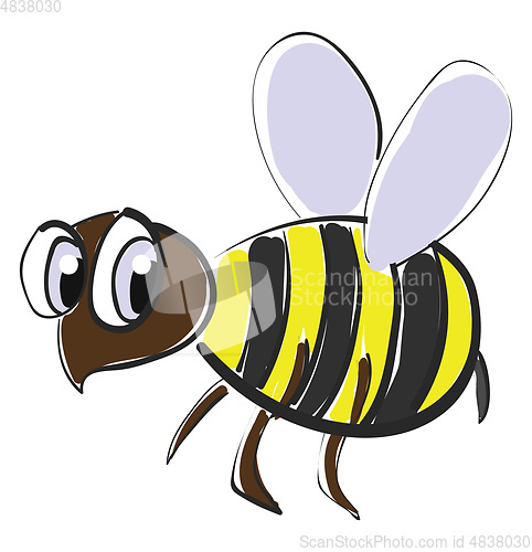 Image of Honeybee with large eyes vector or color illustration