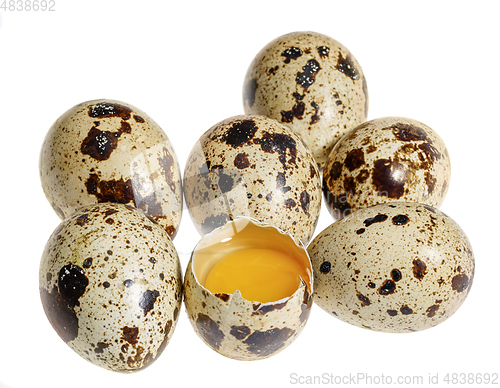 Image of some quail eggs
