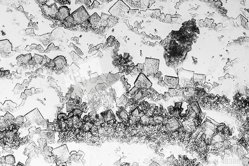 Image of microscopic microcrystal background
