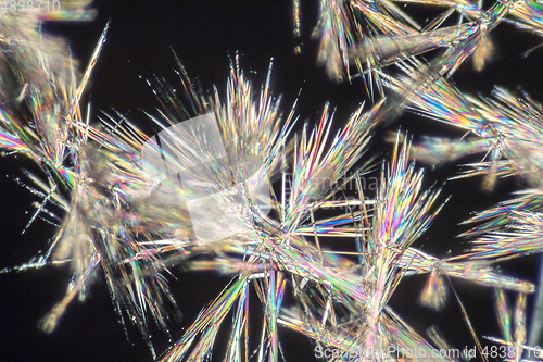Image of spiny micro crystals