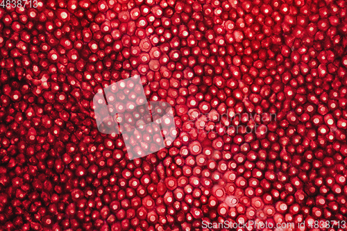 Image of rose petal closeup