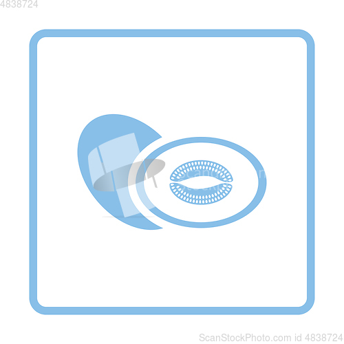 Image of Melon icon