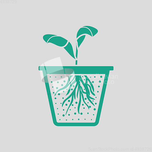 Image of Seedling icon