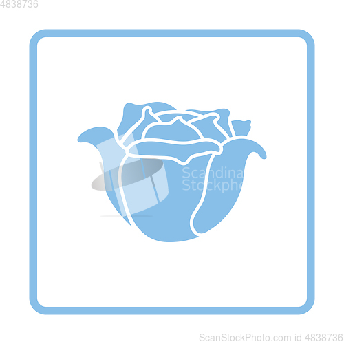 Image of Cabbage icon