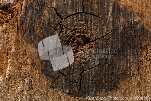 Image of Close up shot of surface texture for background