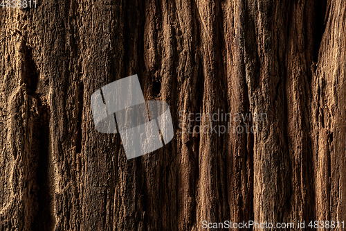 Image of Close up shot of surface texture for background