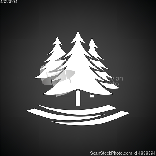 Image of Fir forest  icon