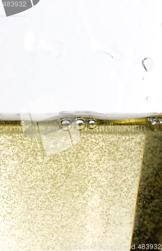 Image of Champagne glass celebration