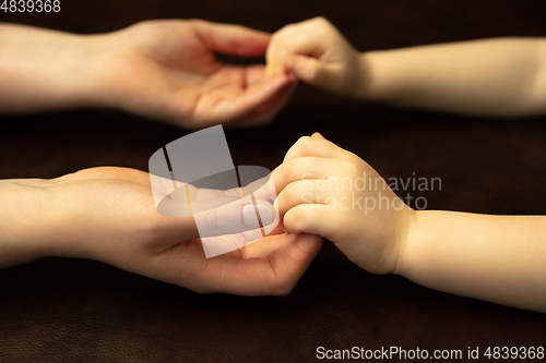 Image of Close up of female and kid\'s hands doing things together, family, home concept