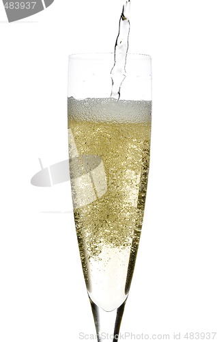 Image of Champagne glass celebration