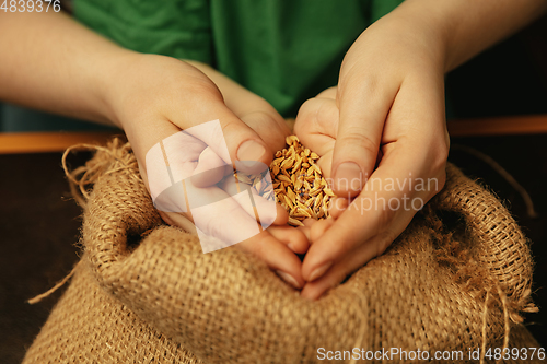 Image of Close up of female and kid\'s hands doing things together, family, home concept