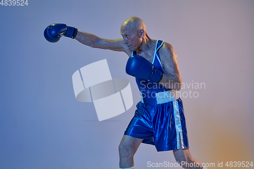Image of Senior man wearing sportwear boxing isolated on gradient studio background in neon light. Concept of sport, activity, movement, wellbeing. Copyspace, ad.