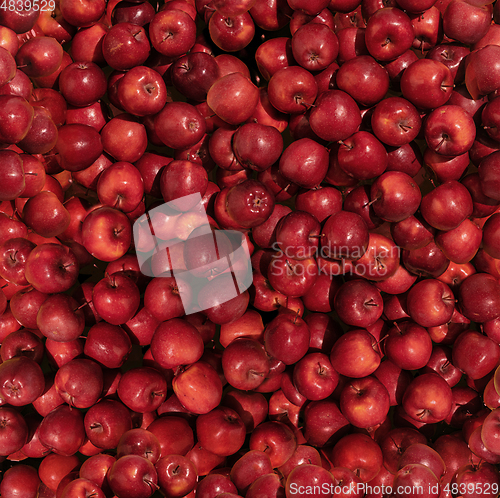 Image of Pattern made from red apples. Top view, flat design. Healthy food.