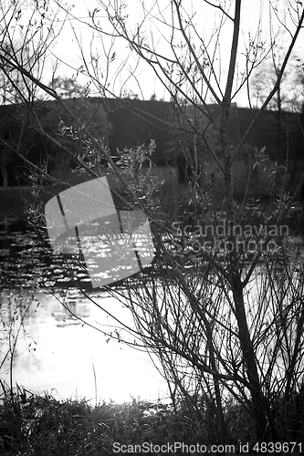 Image of Untitled