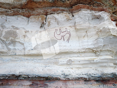 Image of Drawing of a camel on a rock.