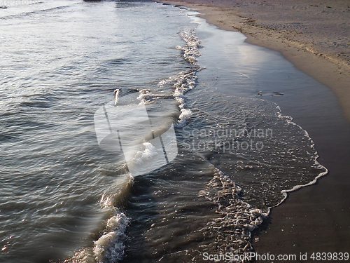 Image of Sandy coast of the Caspian Sea.