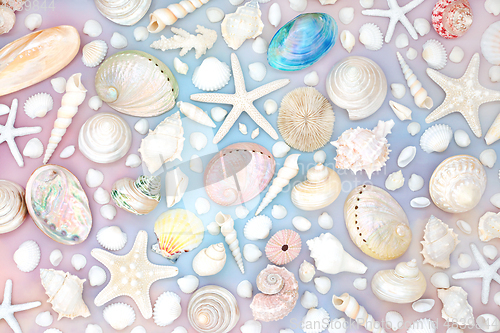 Image of Large Collection of Seashells on Rainbow Sky Background