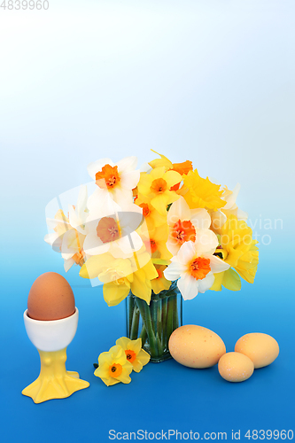 Image of Easter Eggs and Daffodil Flower Still Life