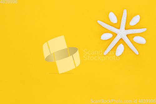 Image of Abstract Starfish Seashell Sun Symbol