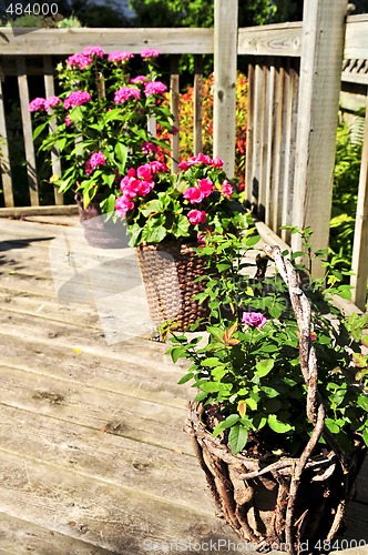 Image of Flower pots on house deck