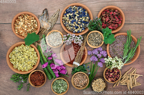 Image of Alternative Herbal Medicine with Herbs and Flowers