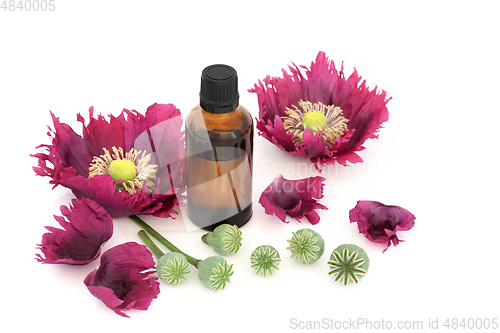 Image of Poppy Flowers and Seed Heads used in Natural Medicine