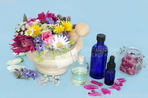 Image of Healing Herbs and Flowers for Alternative Herbal Medicine