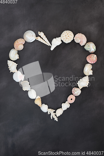 Image of Abstract Heart Shaped Minimal Sea Shell Wreath