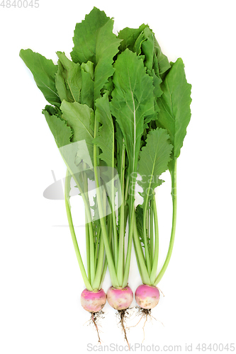 Image of Fresh Turnips for Good Digestive Health