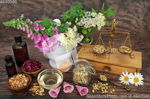 Image of Healing Herbs and Flowers for Alternative Remedies