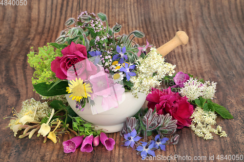 Image of Fresh Flowers and Herbs for Herbal Medicine Treatments