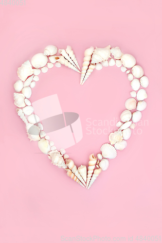 Image of Heart Shaped Seashell Wreath Minimal Composition