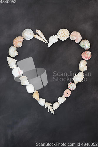 Image of Abstract Heart Shaped Minimal Sea Shell Wreath