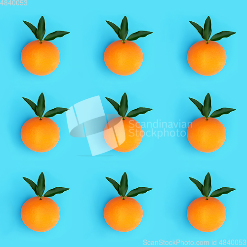 Image of Orange Citrus Fruit High in Antioxidants