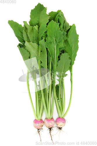 Image of Fresh Turnips for Good Digestive Health