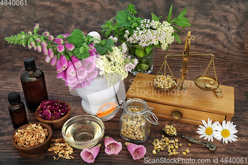 Image of Healing Herbs and Flowers for Alternative Remedies