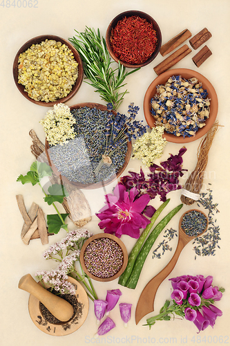 Image of Healing Herbs for Health ad Wellness