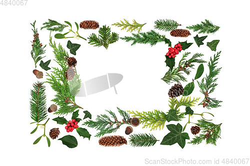 Image of Christmas and Winter Natural European Floral Background  