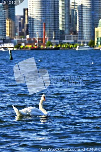 Image of Toronto waterfront