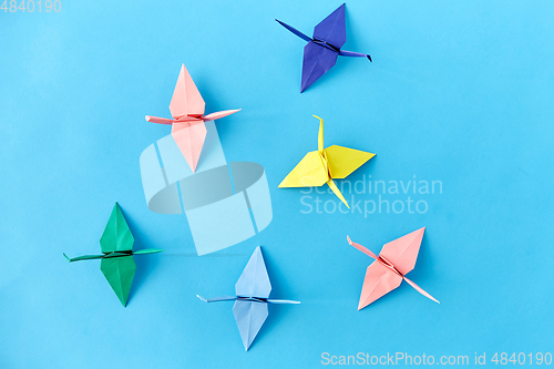 Image of origami paper cranes on blue background