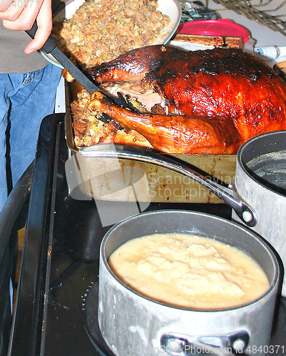 Image of Holiday turkey.