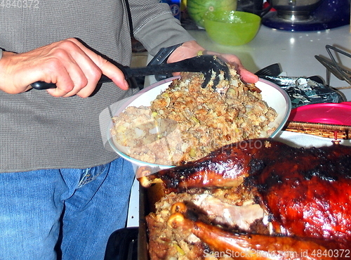 Image of Holiday turkey.