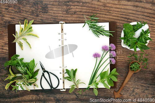 Image of Preparation of Organic Herbs for Food Seasoning